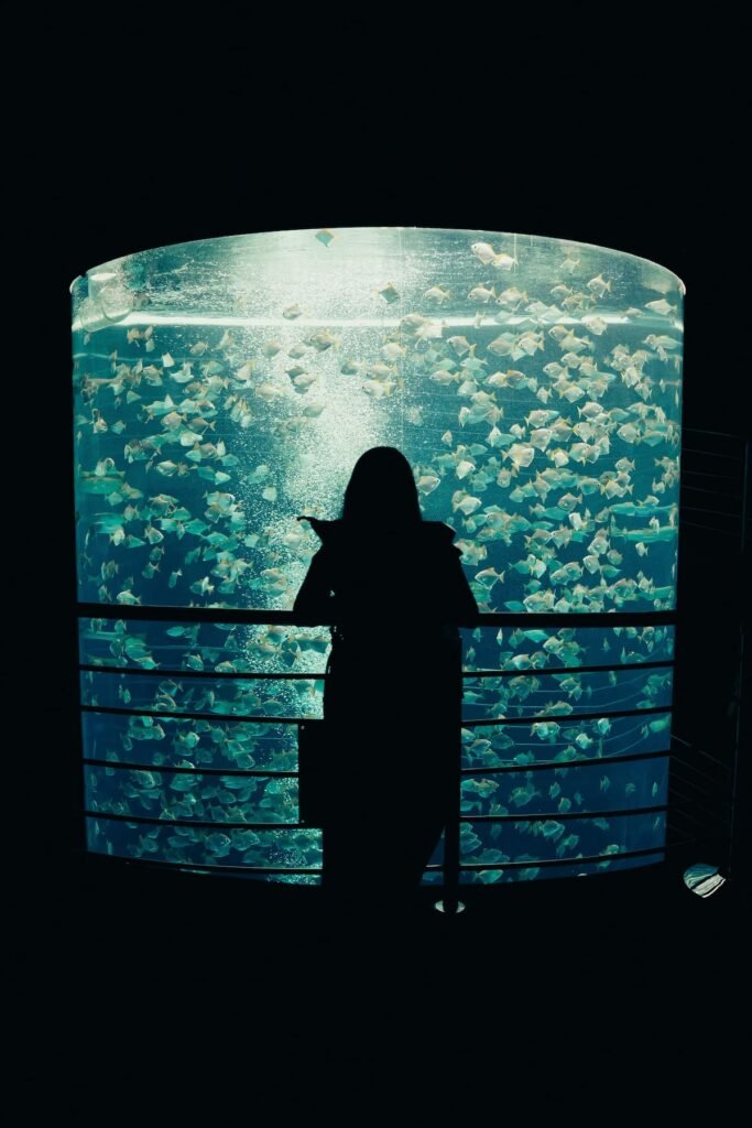 aquarium de genes